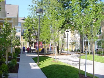 Park Vista